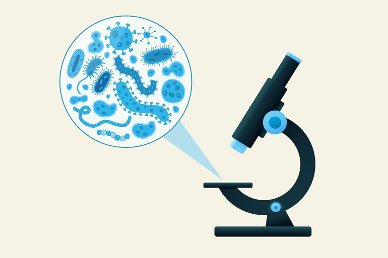 fecal testing microscope